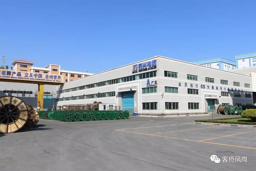 党建引航 | 坚守初心与使命——  DB电竞
接受凤岗电视台采访和报道