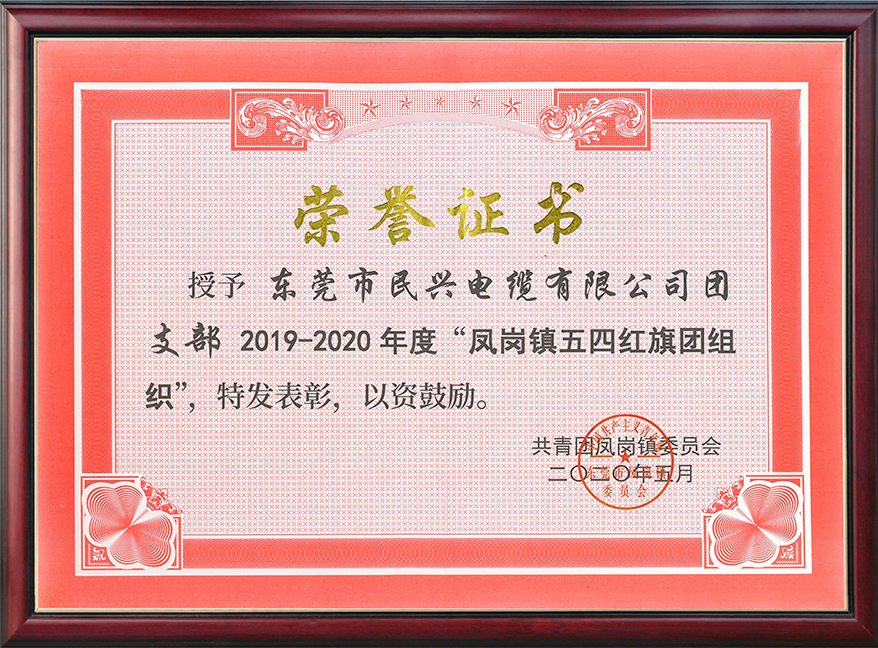  DB电竞
团支部获“凤岗镇五四红旗团组织“称号