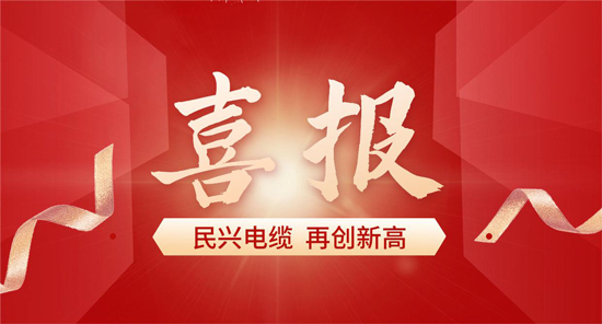 东莞唯一！DB电竞
入选广东省首席质量官质量变革创新典型案例