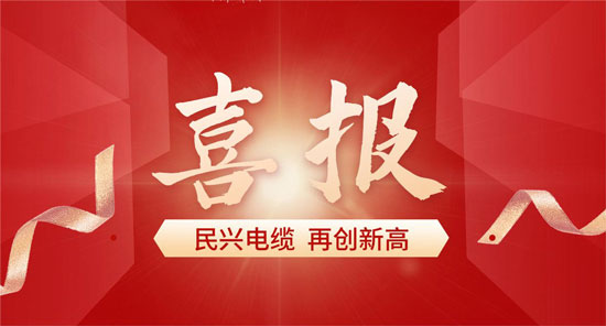 东莞DB电竞
入选广东省首席质量官质量变革创新典型案例